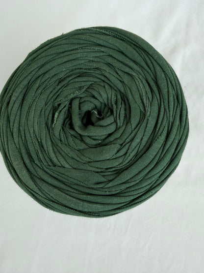 T-shirt yarn Vert Perrier