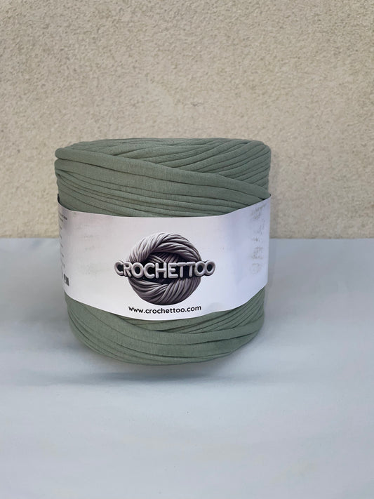 T-shirt yarn Vert Lichen