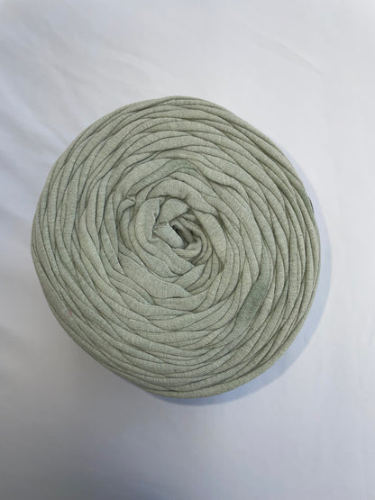 T-shirt yarn Vert Lichen